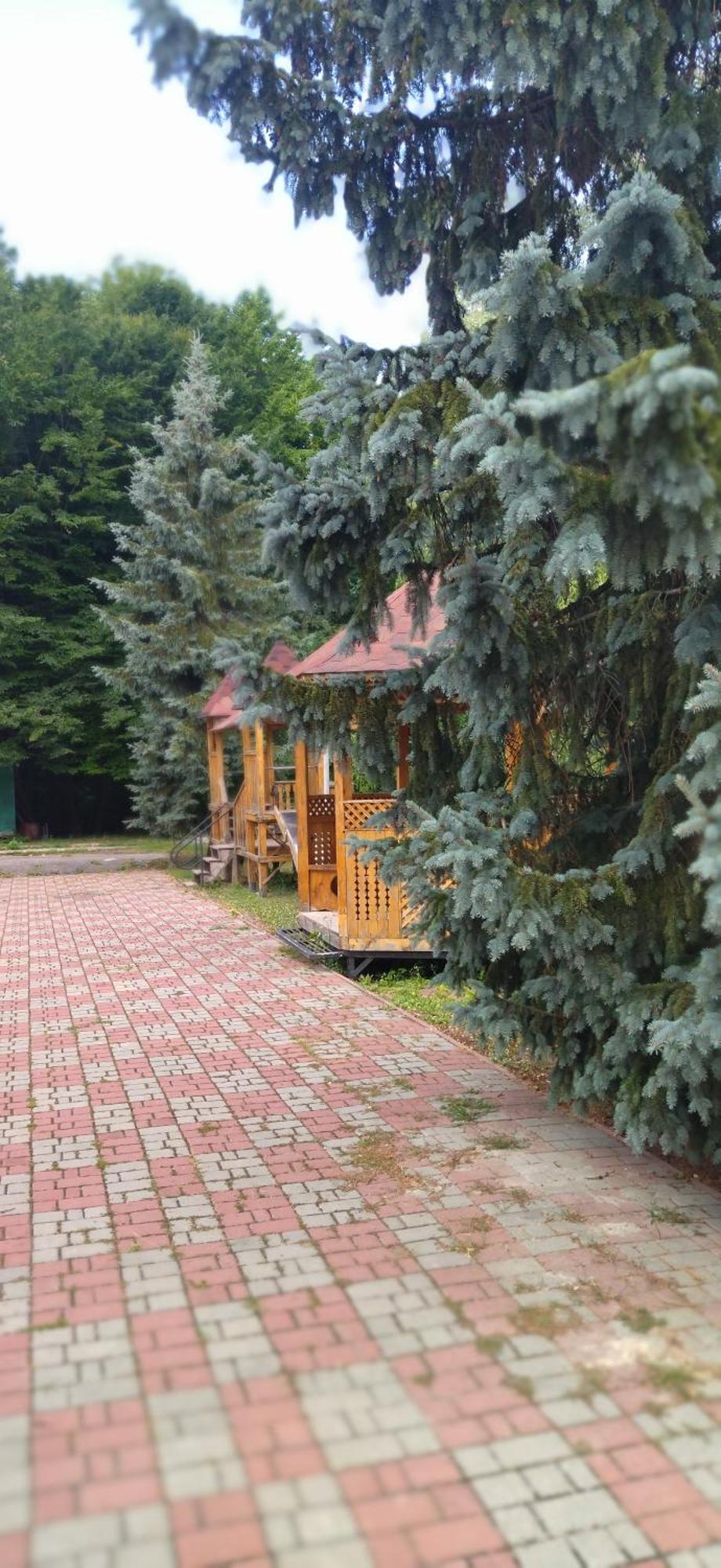 Hotel Санаторій Збруч à Sataniv Extérieur photo